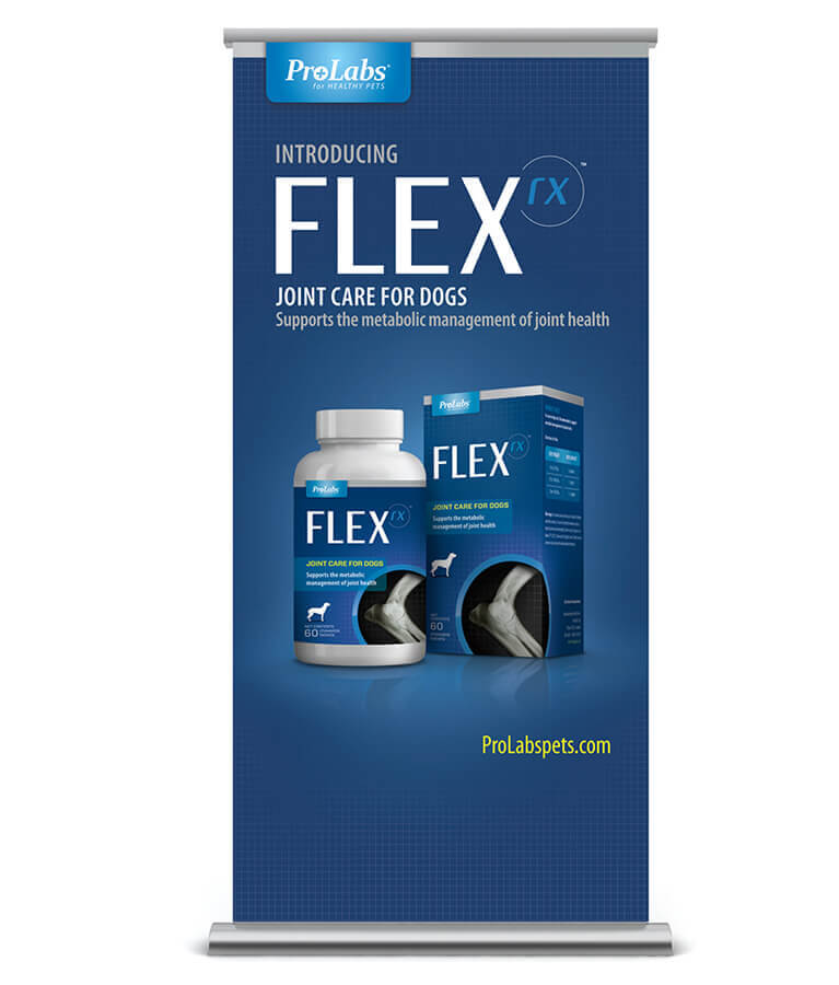Prolabs Flex, introducing Flex joint care for dogs retractable banner