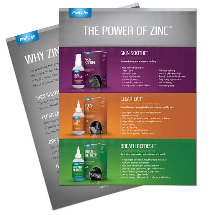 Prolabs, 'The Power of Zinc' full size marketing brochure