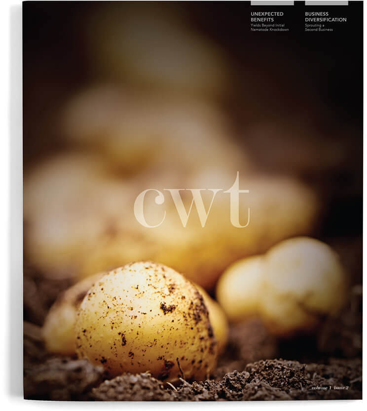 CWT Magazine Issues, close up image of brand new white potatoes still on the dirt field