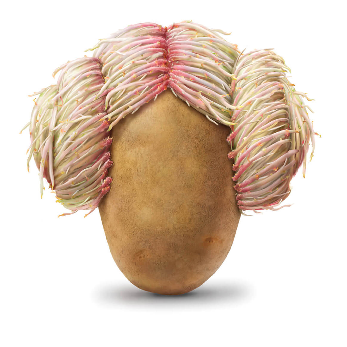Amvac Smartblock, illustrations of a potato with roots shaped as Princess Laya's hairdo