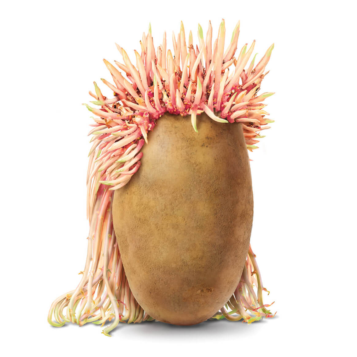 Amvac Smartblock, illustrations of a potato with roots shaped as a mullet hairdo