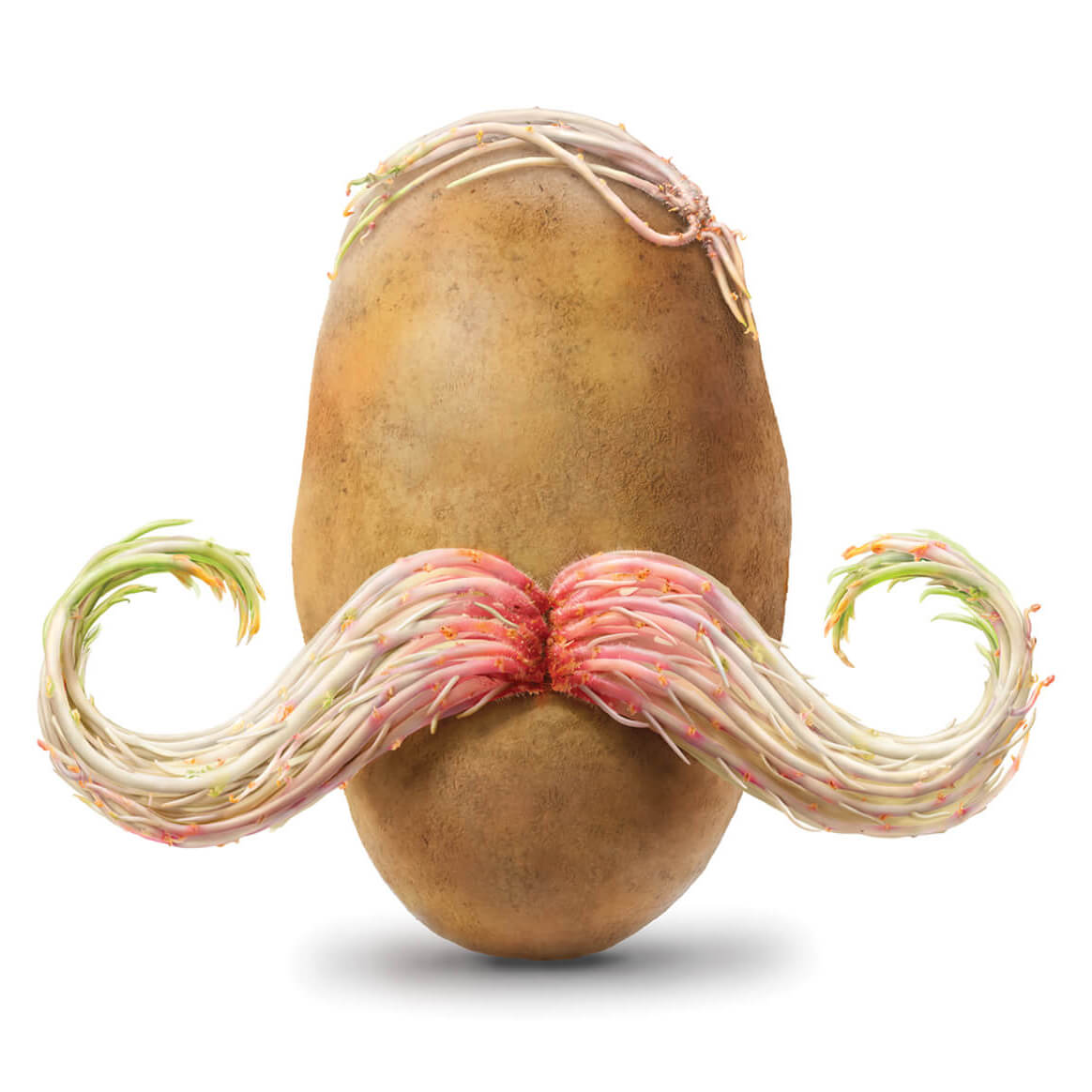 Amvac Smartblock, illustrations of a potato with roots shaped as a large mustache