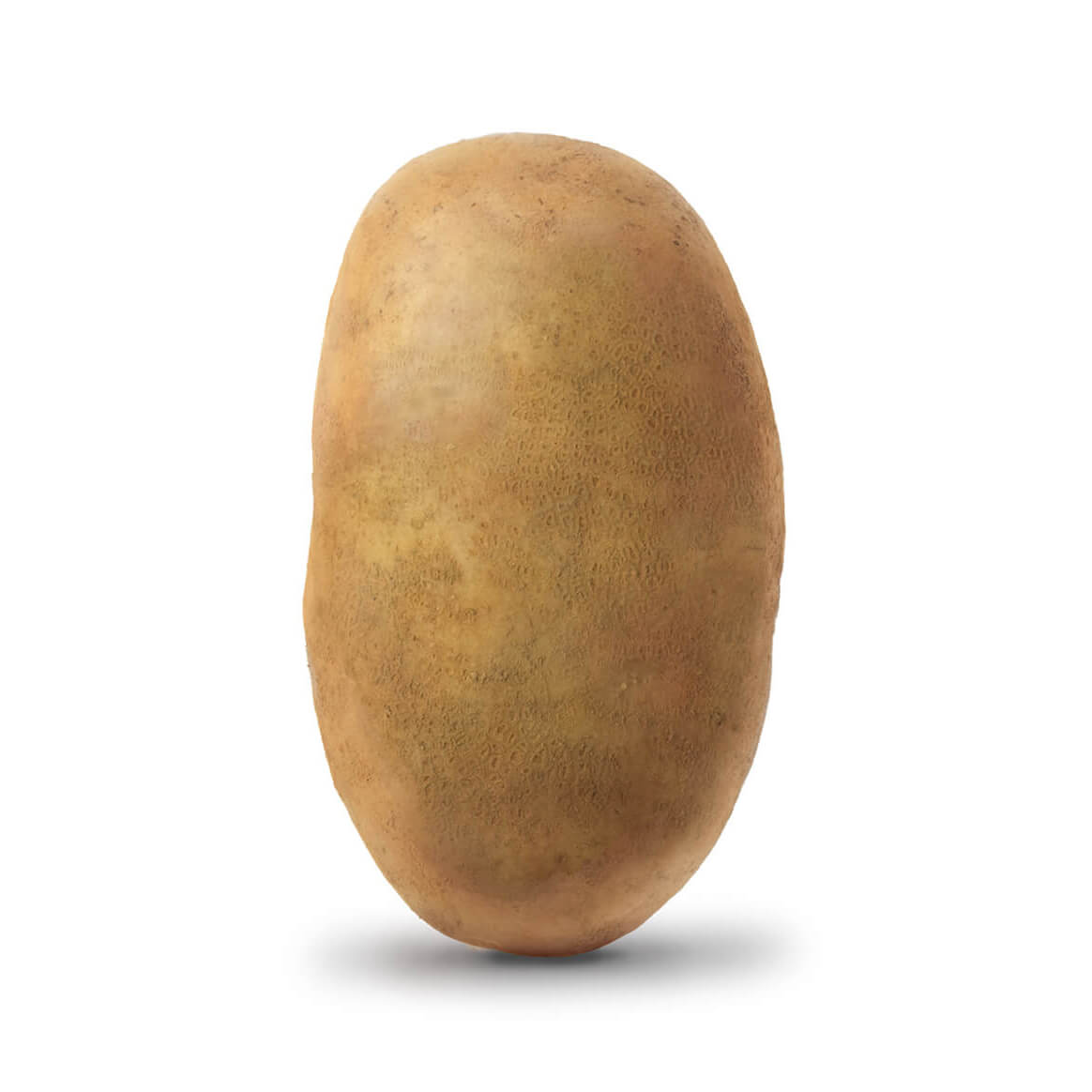 Amvac Smartblock, illustrations of a bald potato