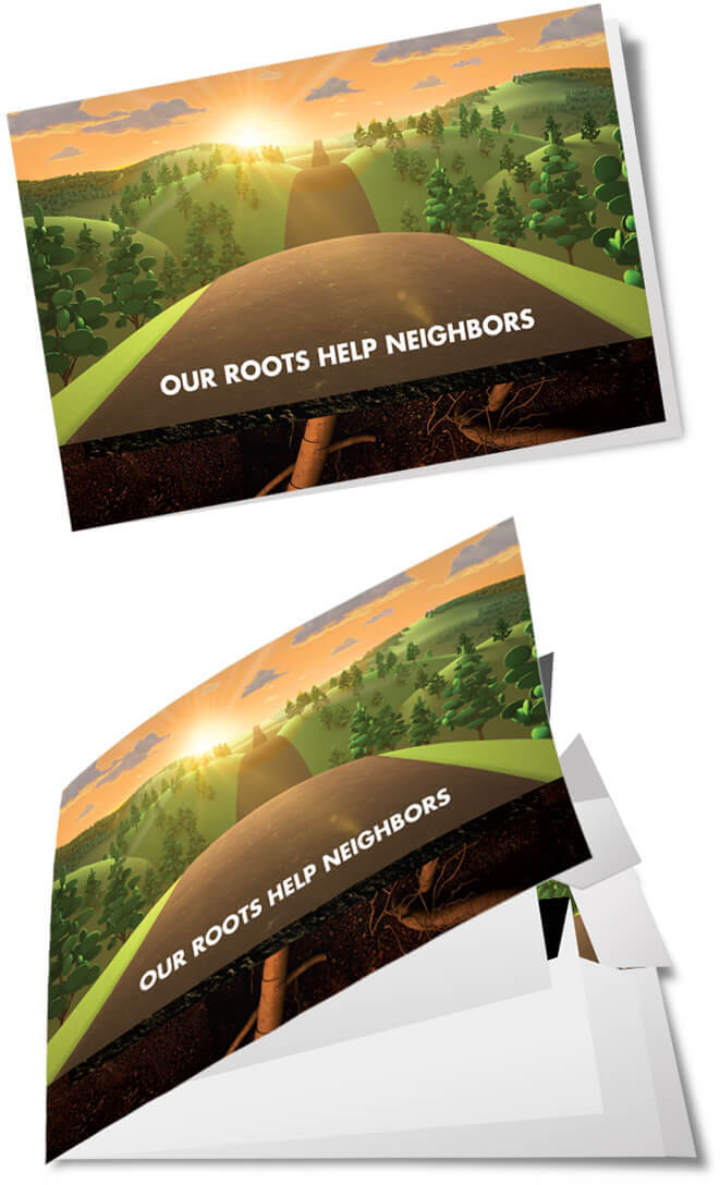Boone County Bank Roots Campaign printed booklet